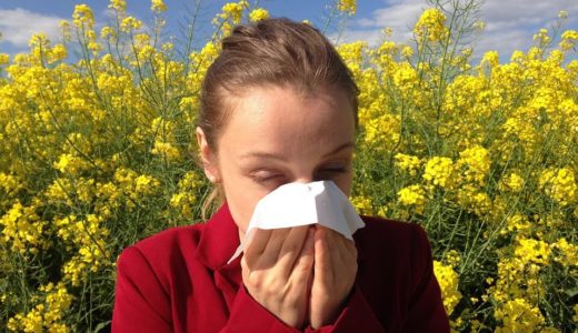 【つらい花粉症・鼻炎】くしゃみ鼻水鼻づまりの苦しさをラクにして改善する方法まとめました